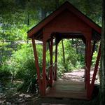 Donald E. Davis Arboretum