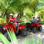 Book a different excursion