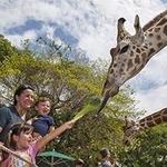 Naples Zoo at Caribbean Gardens