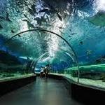 The Dallas World Aquarium