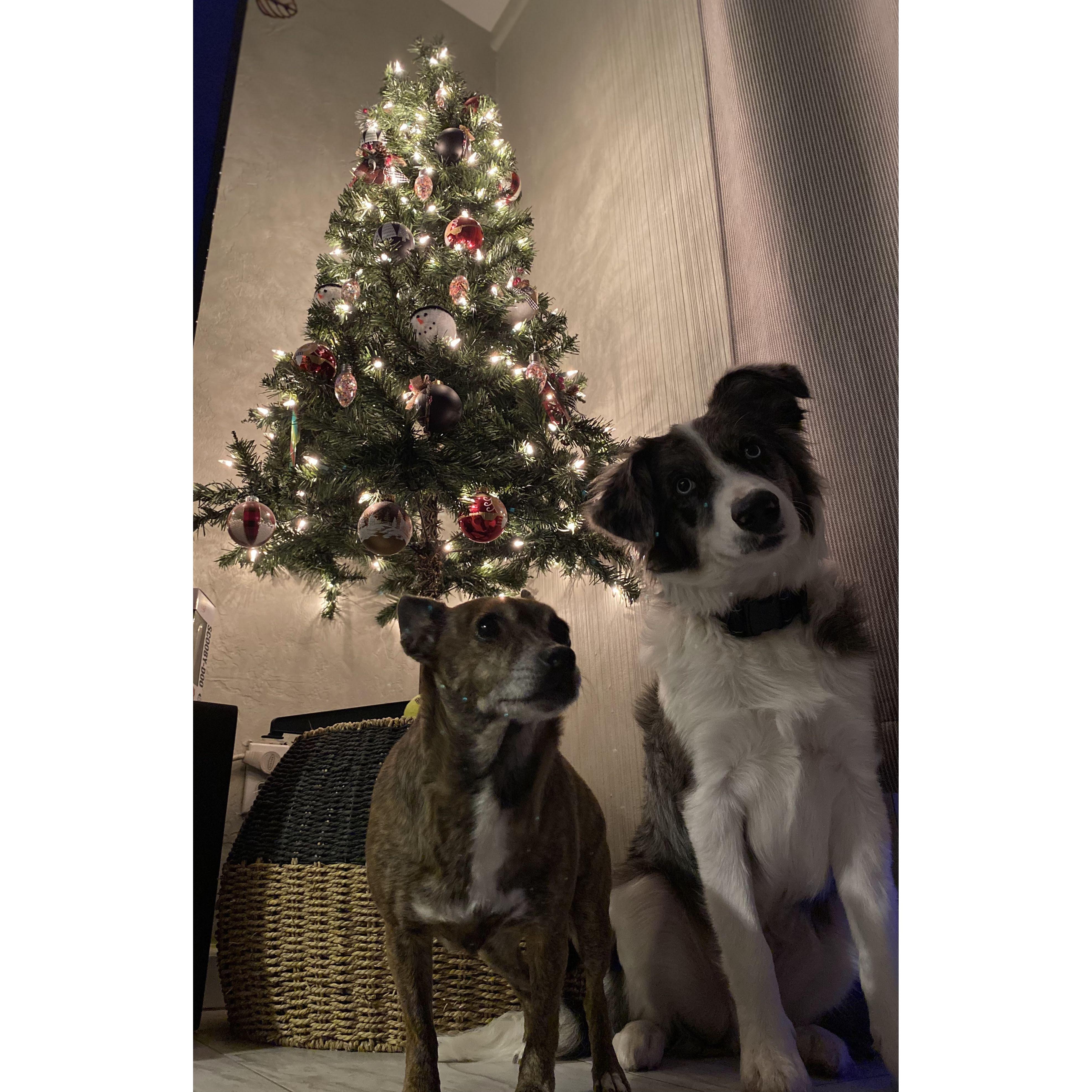 Our first Christmas together with our kiddos, all moved in together