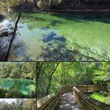 Blue Springs Park
