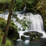 Whatcom Falls Park