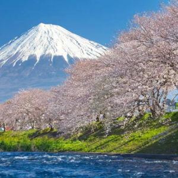 Honeymoon Fund to Japan