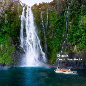 Milford Sound Scenic Cruise - New Zealand Honeymoon