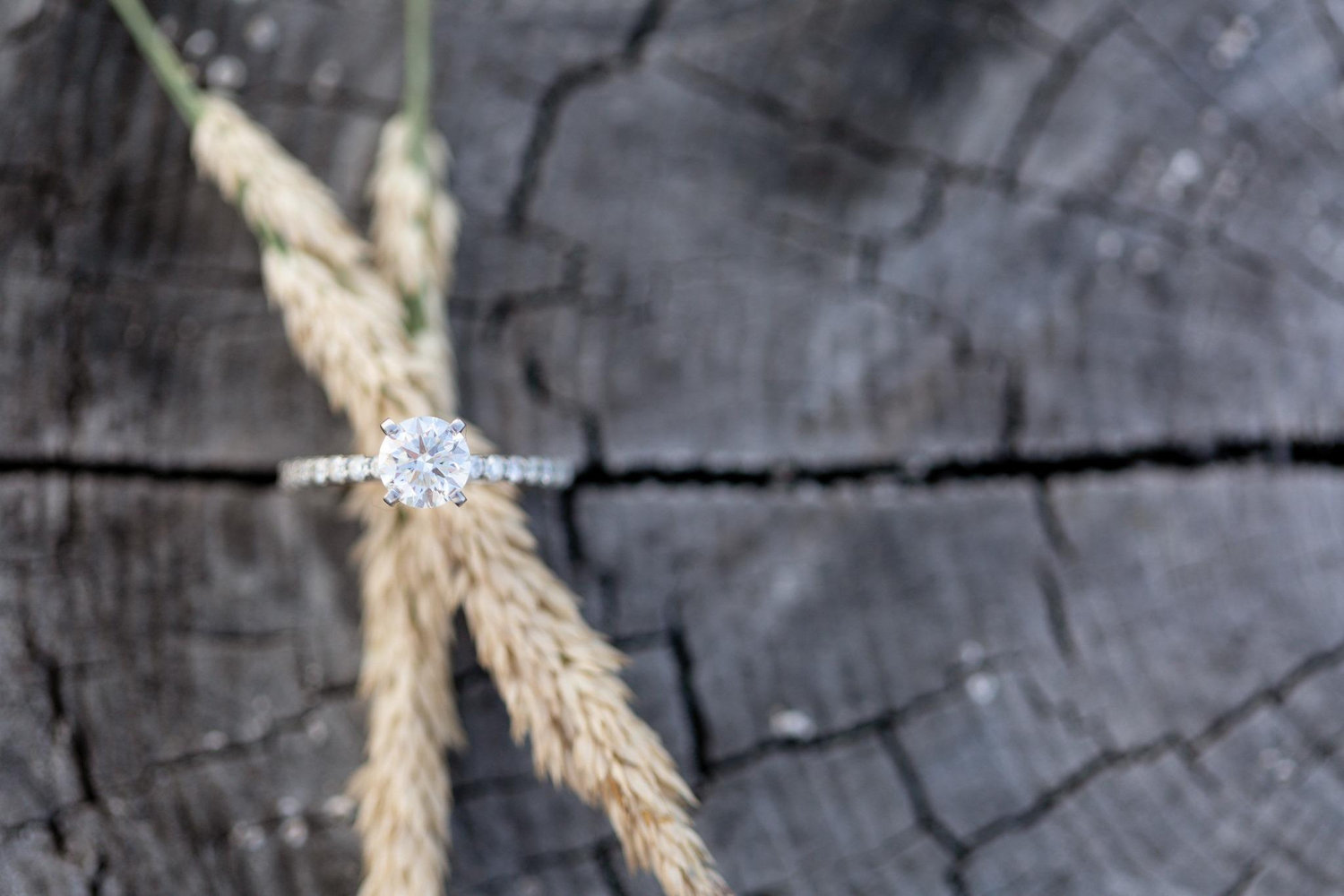 The Wedding Website of Emma Osenbach and Kevin Hinkle