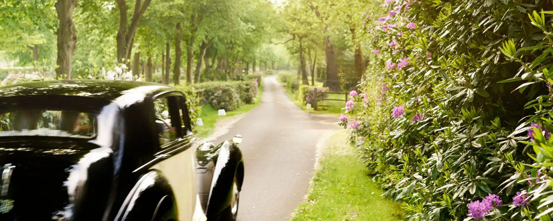 The Wedding Website of Madison Hodges and Gabriel Estevez
