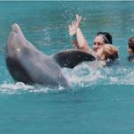 Dolphin Cove Ocho Rios