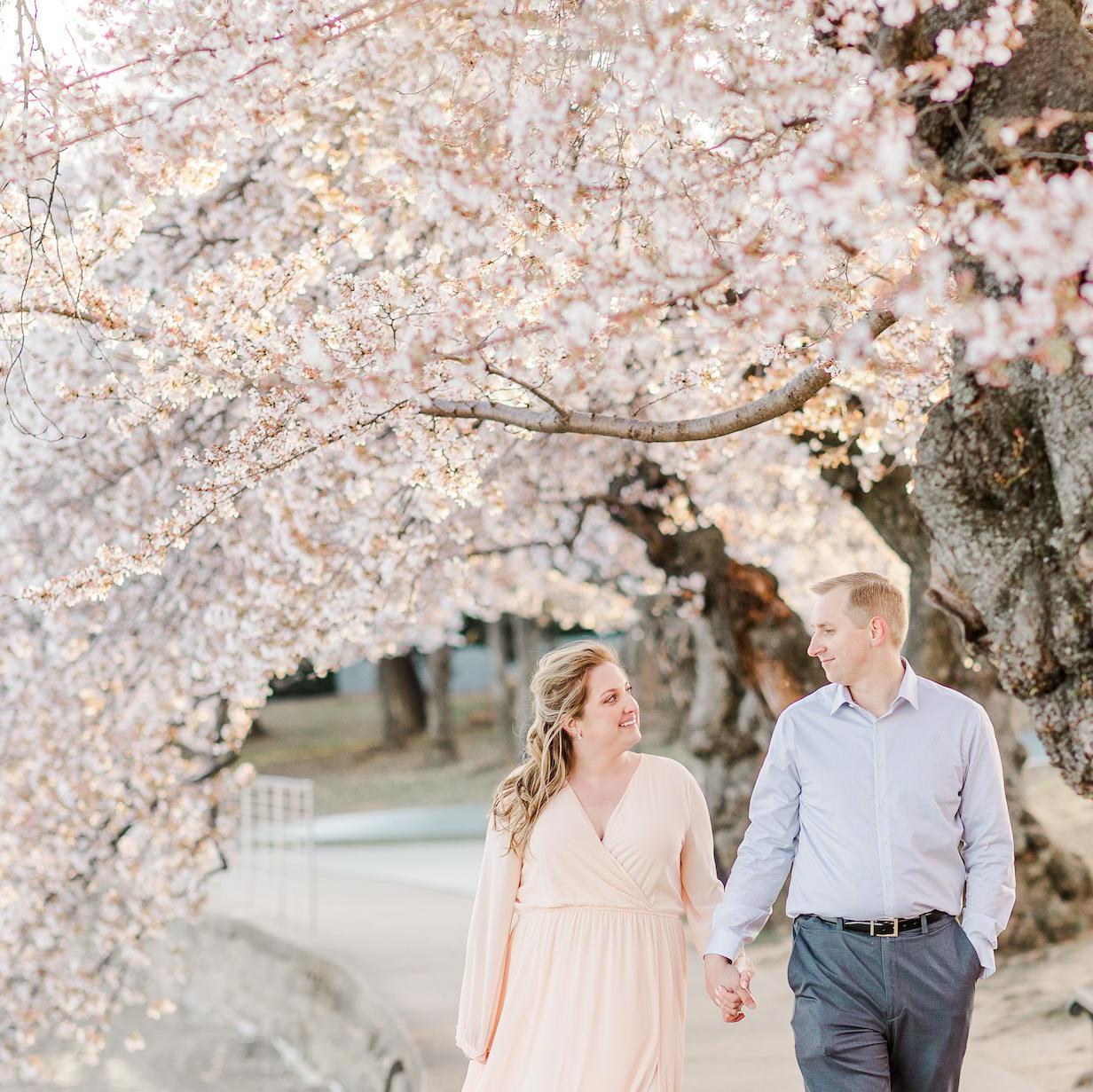 March 2022: Washington, D.C. Cherry Blossoms