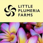 Little Plumeria Farms
