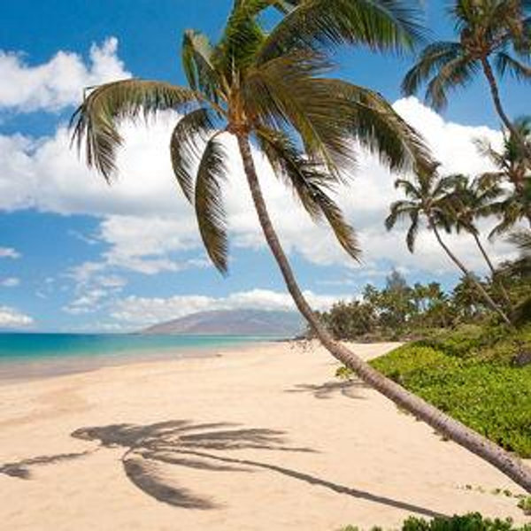 Day Trip: Beaches of South Maui