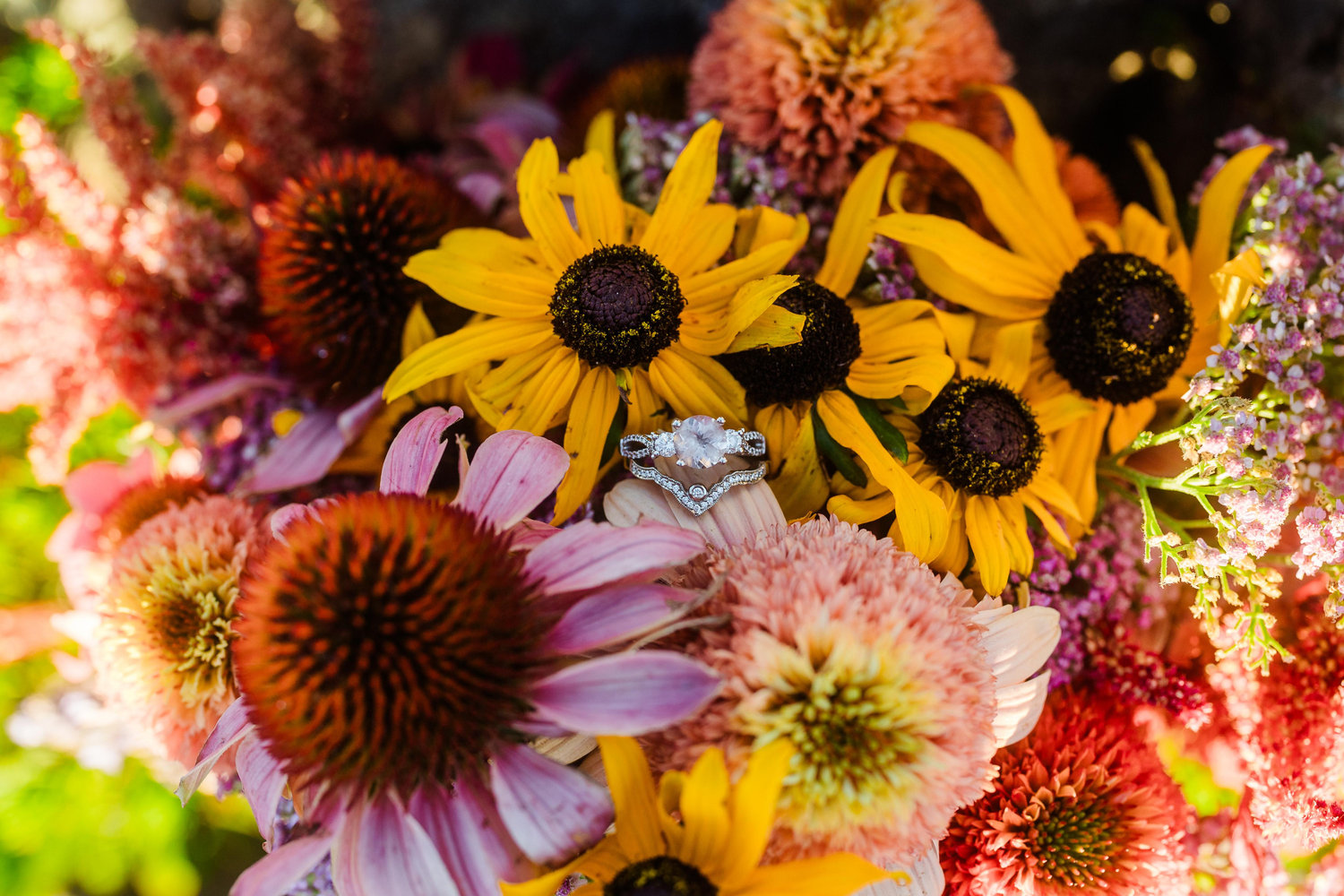 The Wedding Website of Morgan Tate and Hernàn Pacheco