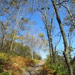 Big Pocono State Park
