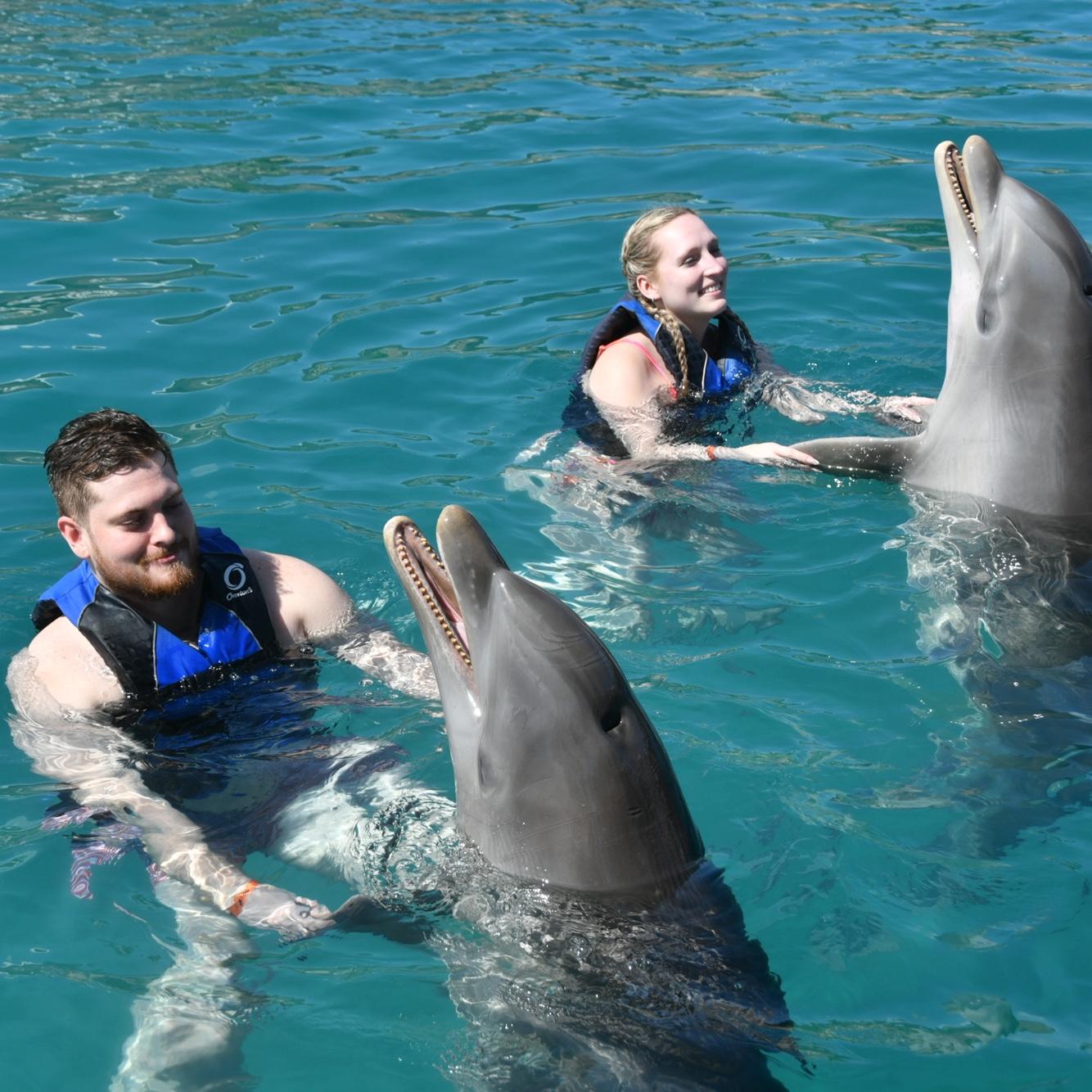 Dancing with dolphins in the Dominican Republic!