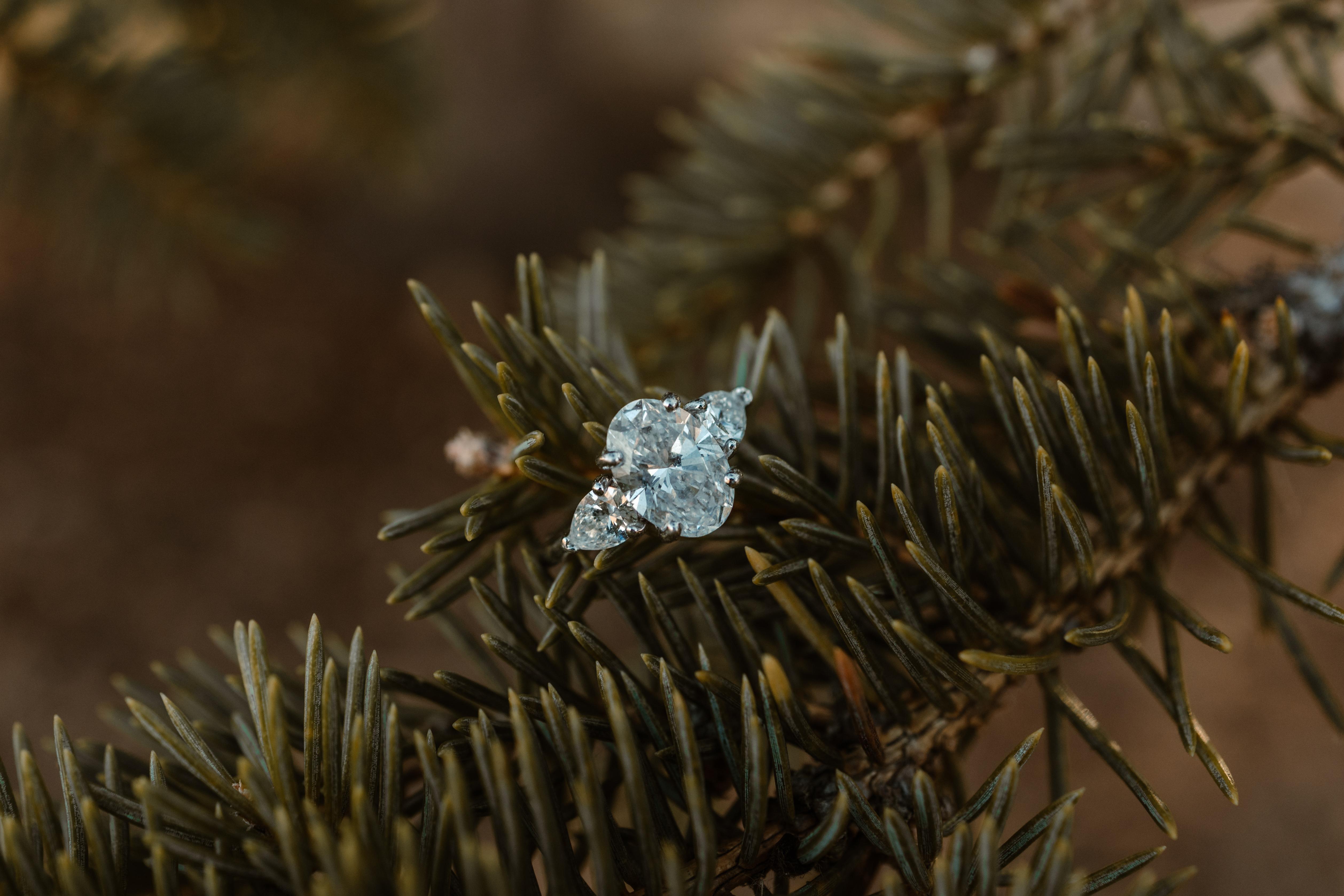 The Wedding Website of Kayla Nemec and Jake Watkins