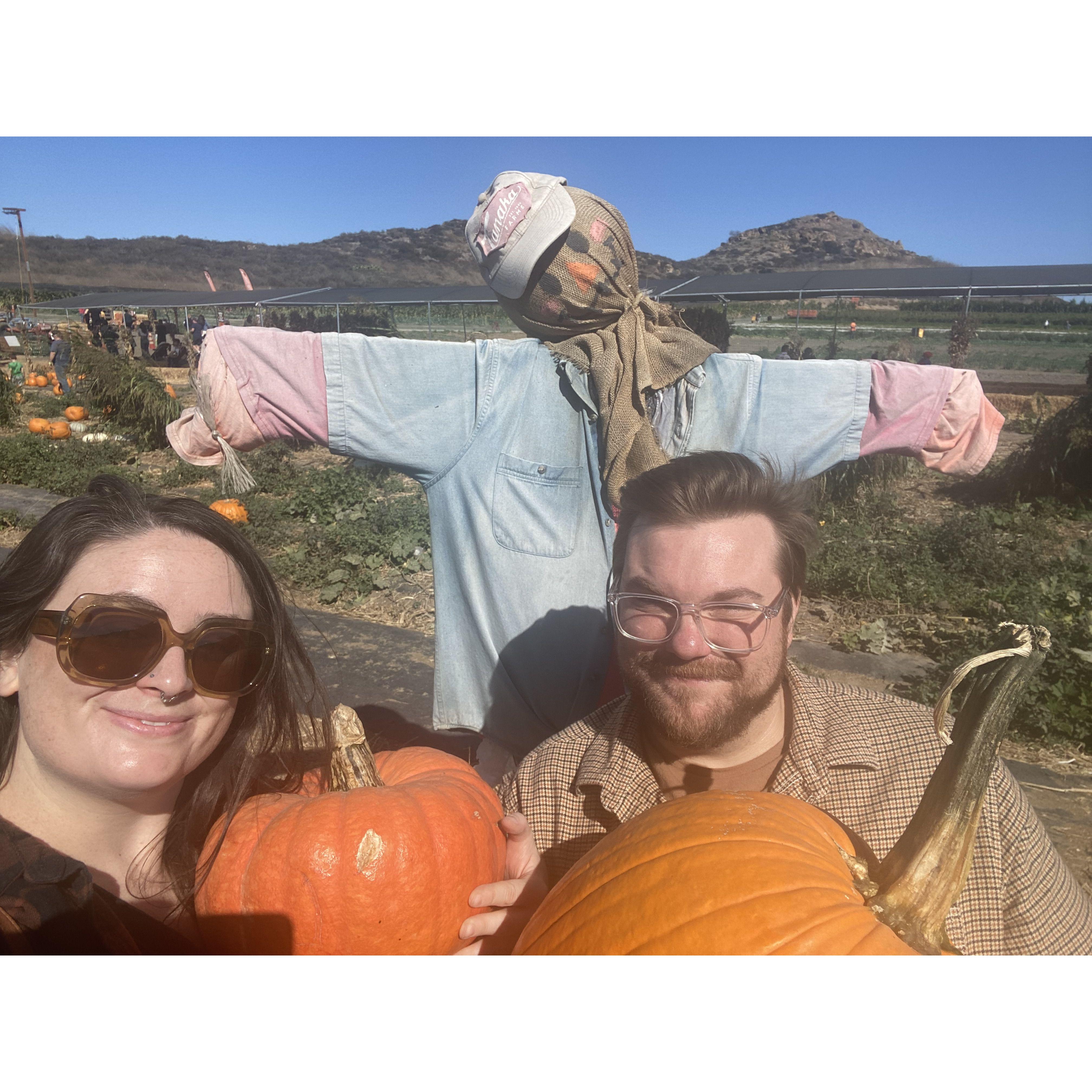 We love pumpkin patches!