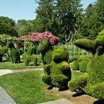 Green Animals Topiary Garden
