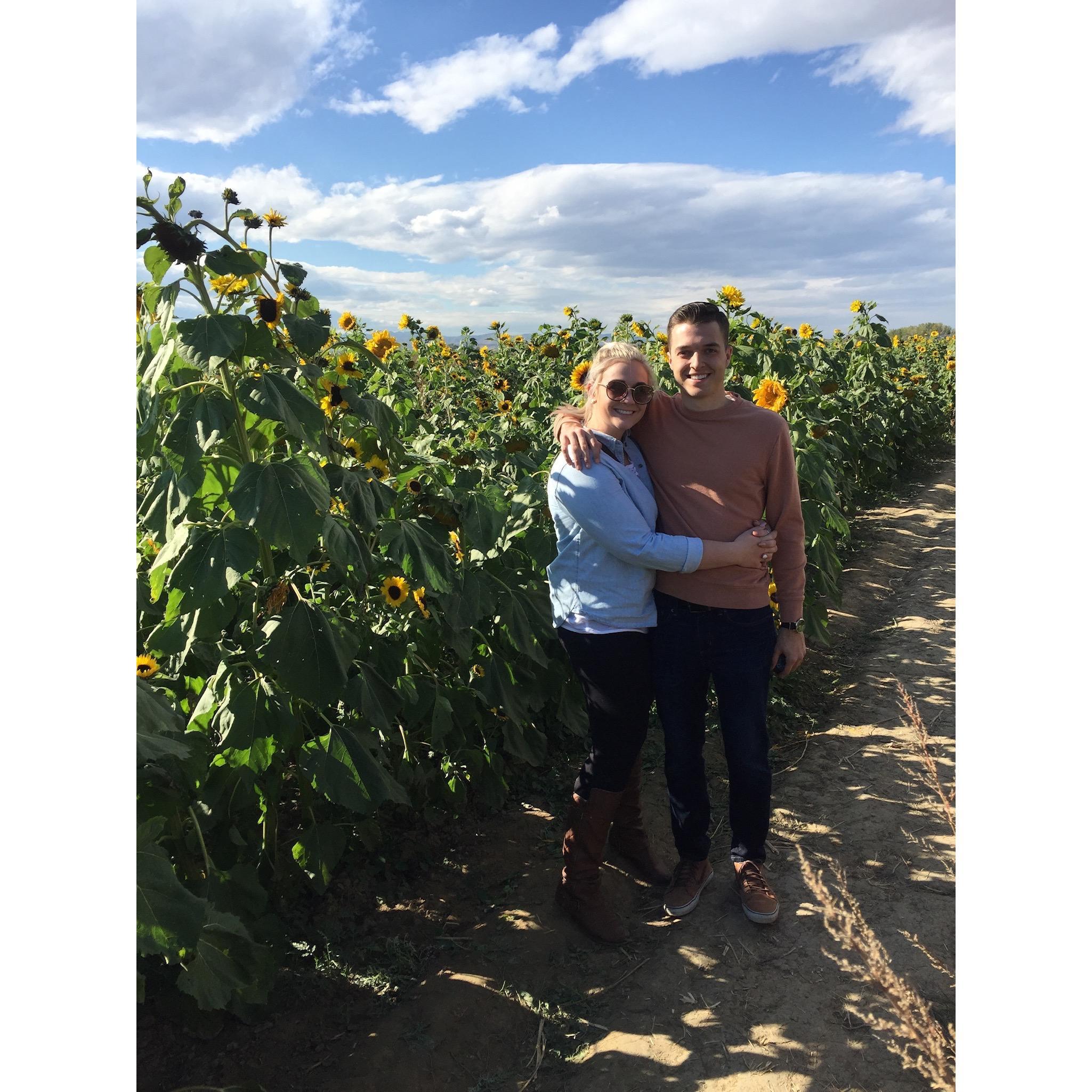 Pumpkin Patch Fall 2018 Fort Collins, CO