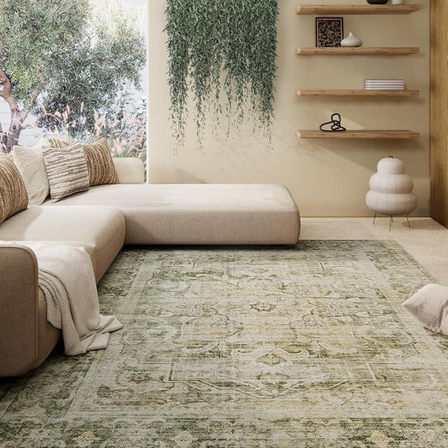 Machine Washable Living Room Rug: 5'x7' Bedroom Area Rug Boho Vintage Large Rugs Stain Resistant Non Slip Low Pile Faux Wool Soft Rug for Dining Room Bedside Kitchen Entryway Nursery Home Office