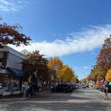 Shopping & Restaurants on Elm Street in New Canaan