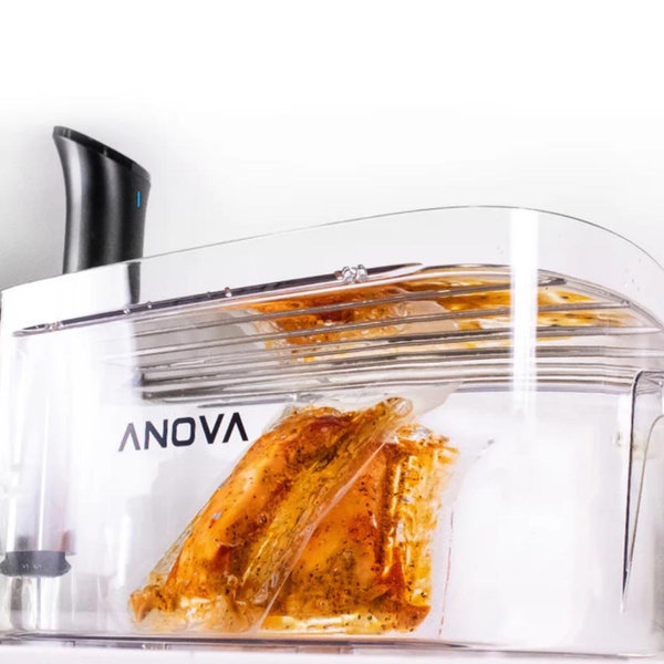 Anova Precision™ 16L Container