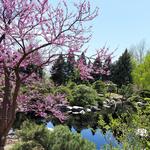 Denver Botanic Gardens