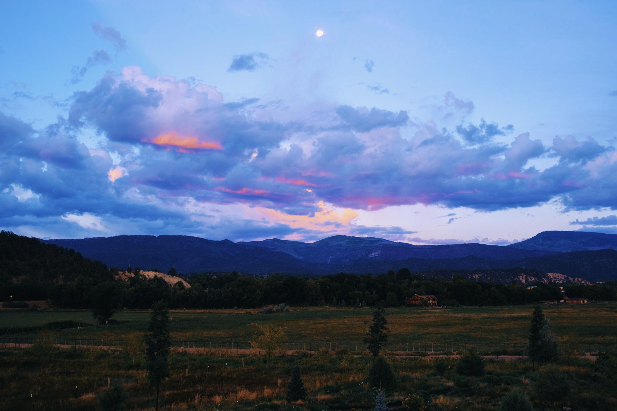 The Wedding Website of Shelby Holmes and Cheyn Roux