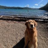 Suttle Lake