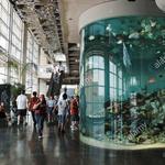 South Carolina Aquarium
