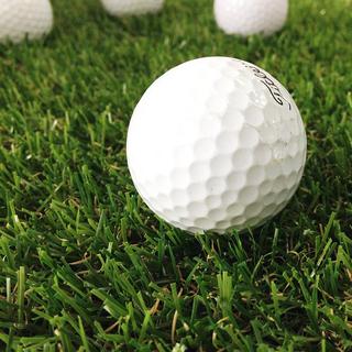 Golf Lesson with a PGA Pro: 1 Hour Private Lesson for 1 - Chicago