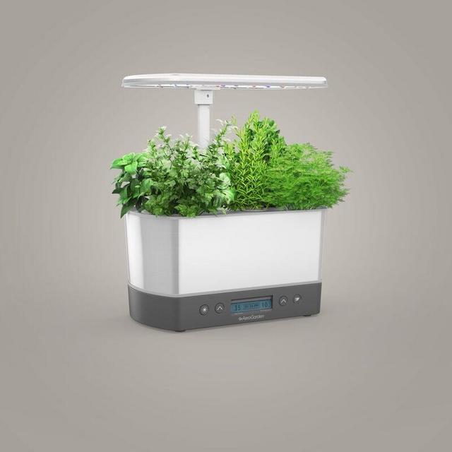 The AeroGarden Harvest Elite