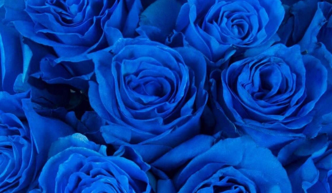The Wedding Website of Omar Shelly and Corey Broughton