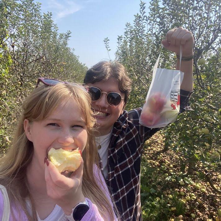 Apple Picking