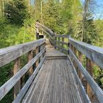 Jay Cooke State Park