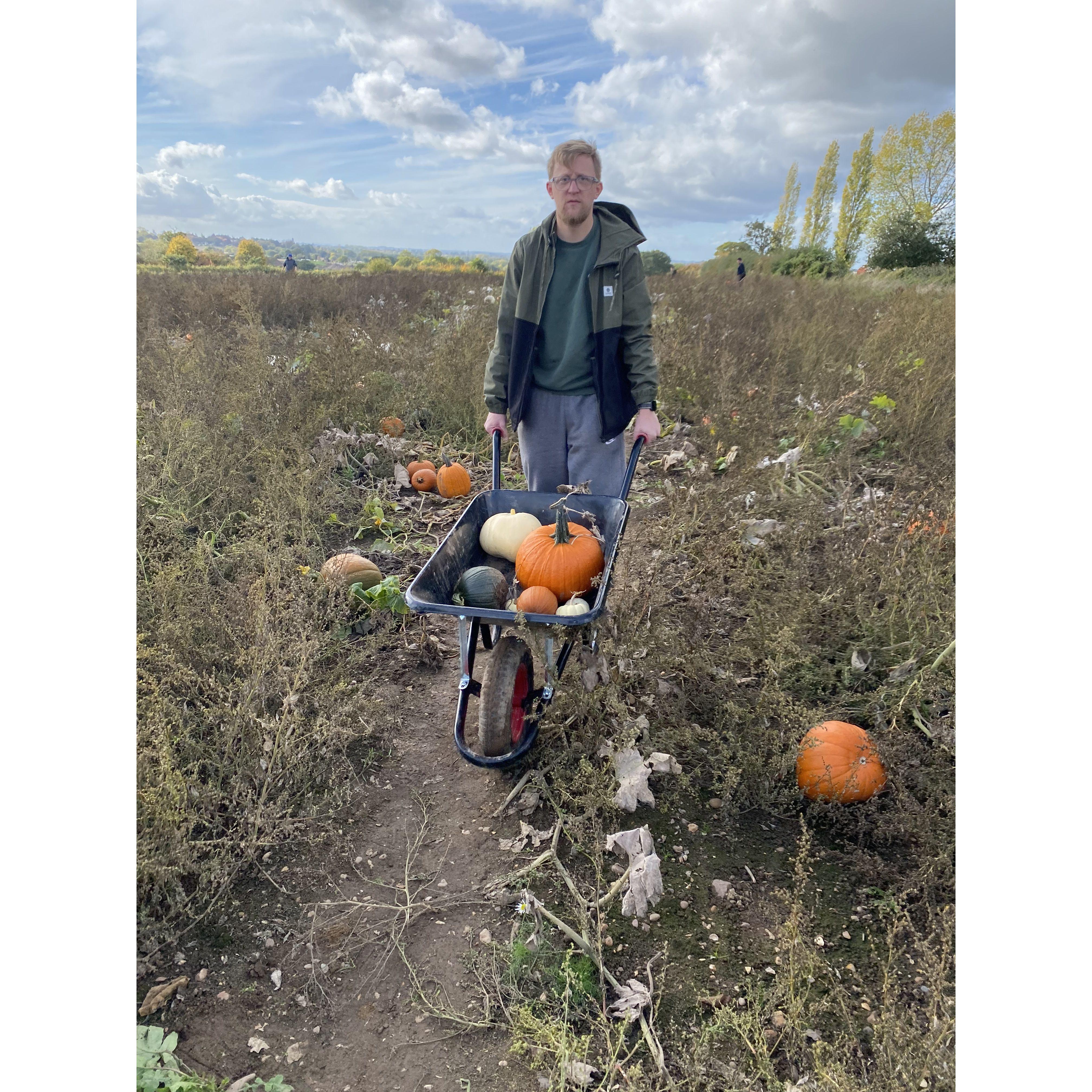 Pumpkin picking