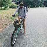 Shop, stroll & explore