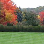 Ladew Topiary Gardens