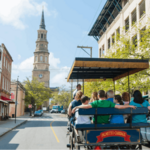 Horse Drawn Carriage Ride