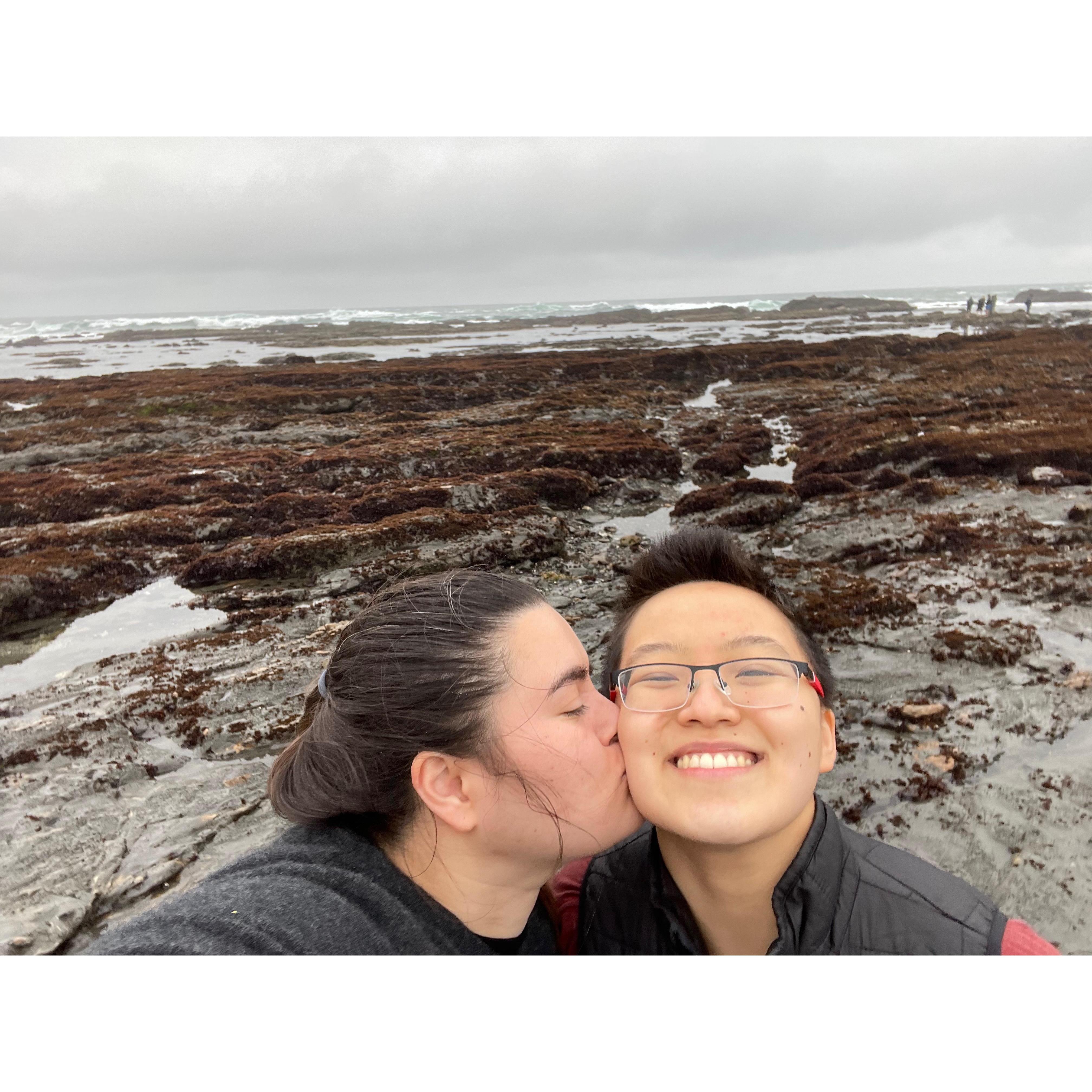 Tidepooling