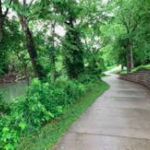 Ozark Park Trail