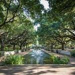 Houston Zoo