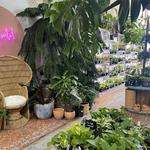 The Botany Shop