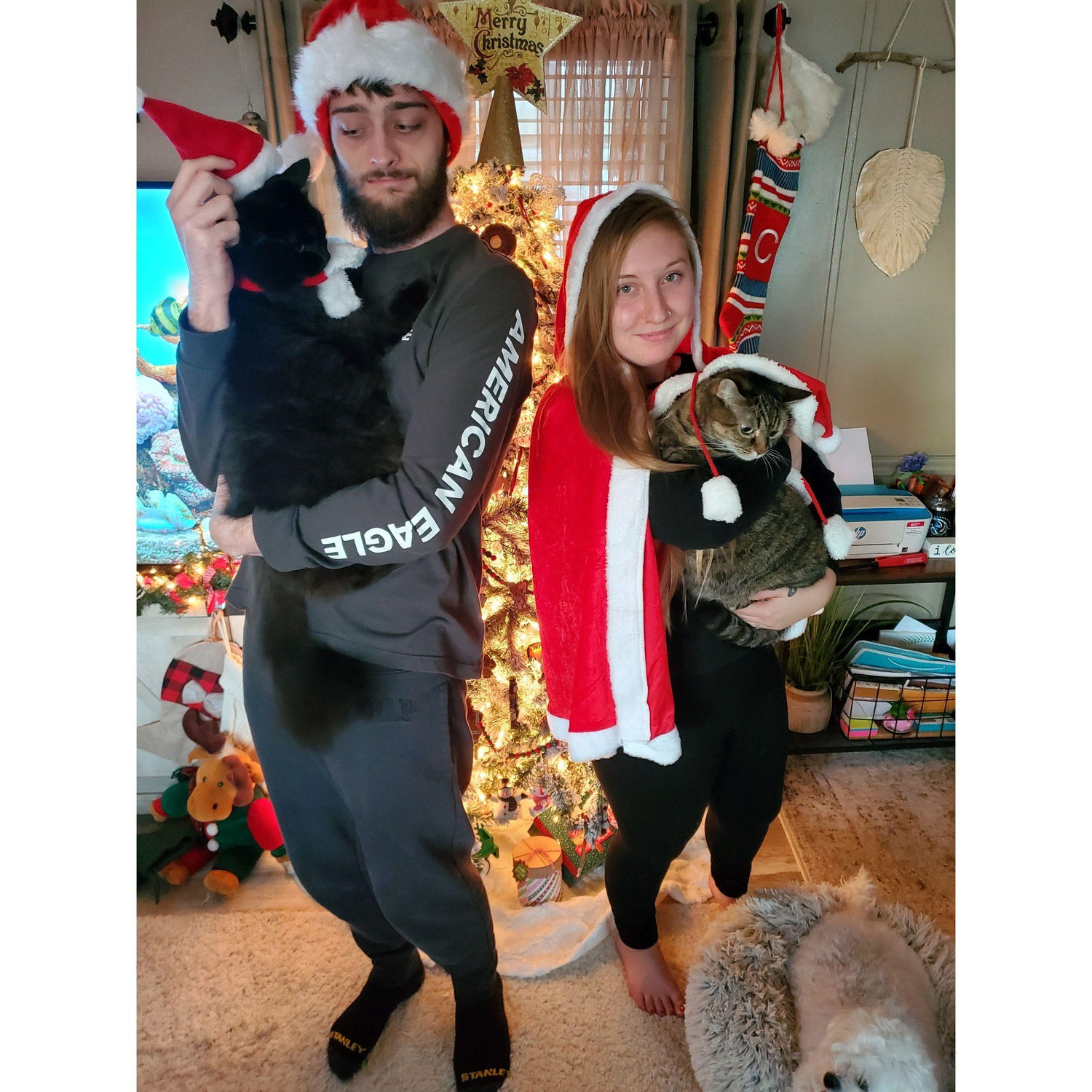Our first family Christmas photos!