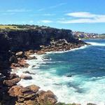 Bondi to Coogee Walk
