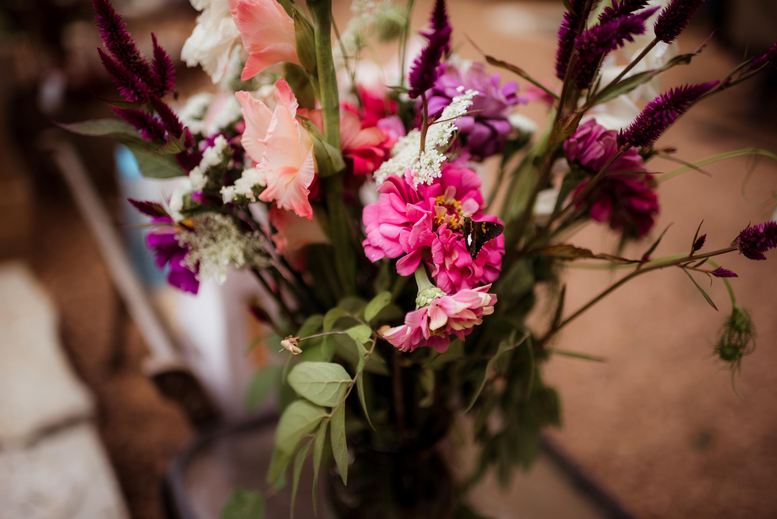 The Wedding Website of Emily Verbeten and Jacob Salsbury