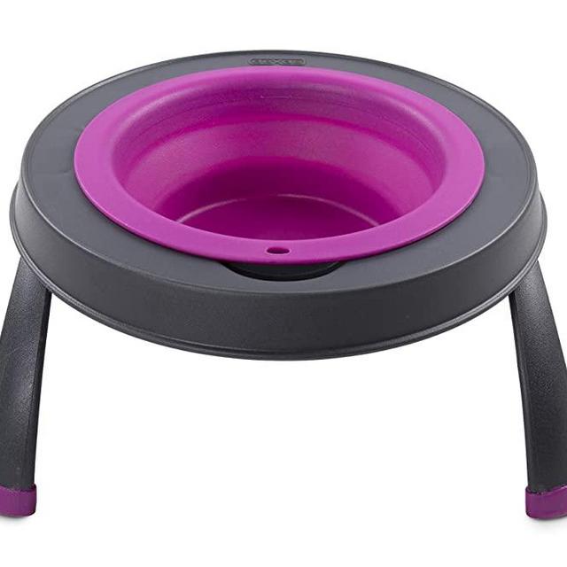 Dexas Popware for Pets Single Elevated Pet Feeder