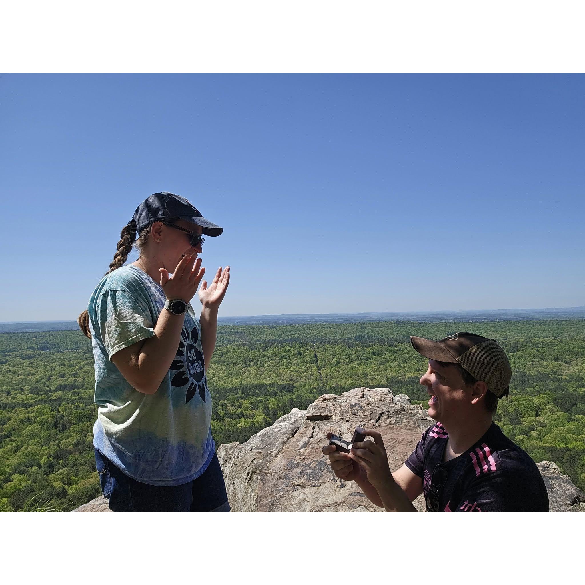 Proposal