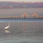 Fort De Soto County Park