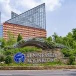 Tennessee Aquarium