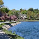 Brookline Reservoir